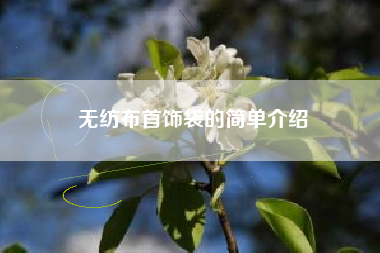 无纺布首饰袋的简单介绍