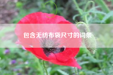 包含无纺布袋尺寸的词条