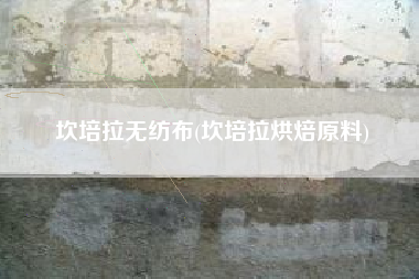 坎培拉无纺布(坎培拉烘焙原料)