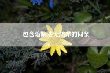 包含熔喷法无纺布的词条 包含熔喷法无纺布的词条