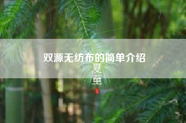 双源无纺布的简单介绍