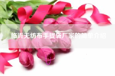 临沂无纺布手提袋厂家的简单介绍