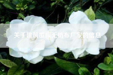 关于建筑覆膜无纺布厂家的信息