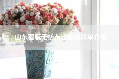 山东覆膜无纺布定做的简单介绍