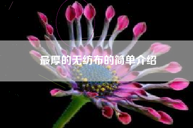 最厚的无纺布的简单介绍