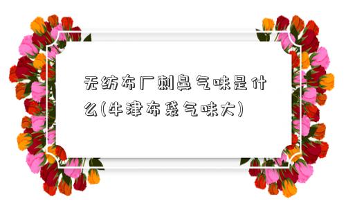 无纺布厂刺鼻气味是什么(牛津布袋气味大) 无纺布厂刺鼻气味是什么(牛津布袋气味大)