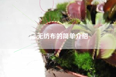 pps无纺布的简单介绍