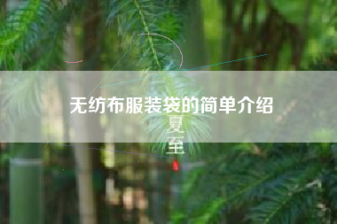 无纺布服装袋的简单介绍 无纺布服装袋的简单介绍