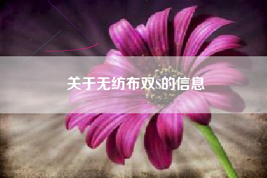 关于无纺布双S的信息