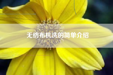 无纺布机洗的简单介绍