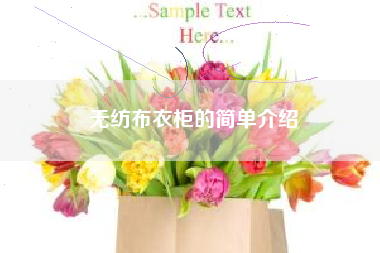 无纺布衣柜的简单介绍