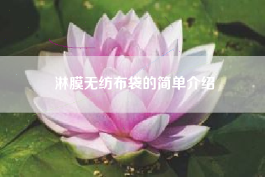 淋膜无纺布袋的简单介绍