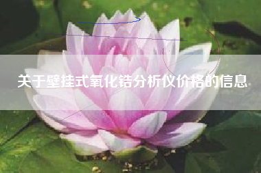 关于壁挂式氧化锆分析仪价格的信息