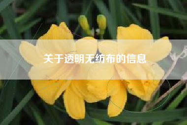 关于透明无纺布的信息