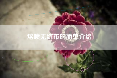 熔喷无纺布的简单介绍