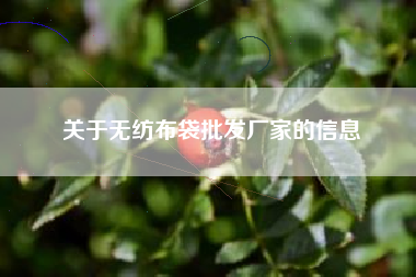 关于无纺布袋批发厂家的信息