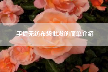 手提无纺布袋批发的简单介绍