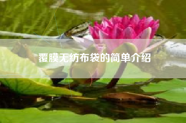 覆膜无纺布袋的简单介绍
