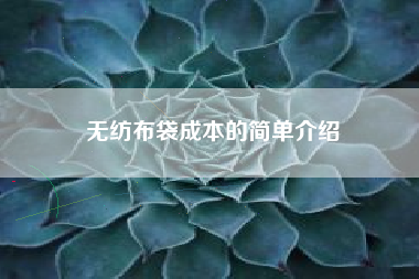 无纺布袋成本的简单介绍
