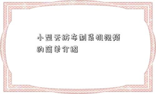 小型无纺布制袋机视频的简单介绍