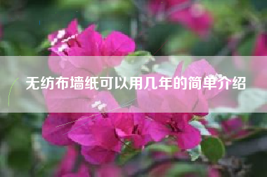 无纺布墙纸可以用几年的简单介绍