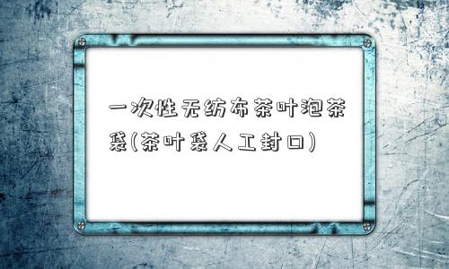 一次性无纺布茶叶泡茶袋(茶叶袋人工封口)