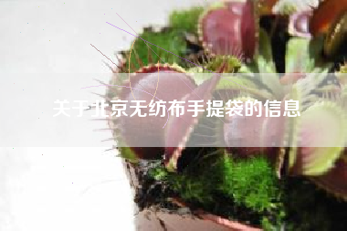 关于北京无纺布手提袋的信息