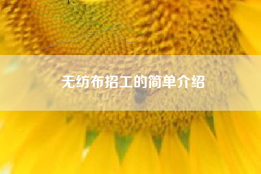 无纺布招工的简单介绍