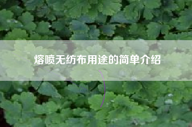 熔喷无纺布用途的简单介绍