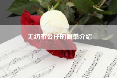 无纺布公仔的简单介绍