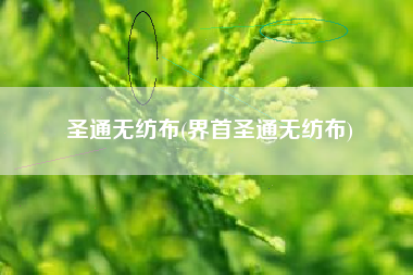 圣通<a href='/' target='_blank' title='无纺布' ><strong>无纺布</strong></a>(界首圣通无纺布)