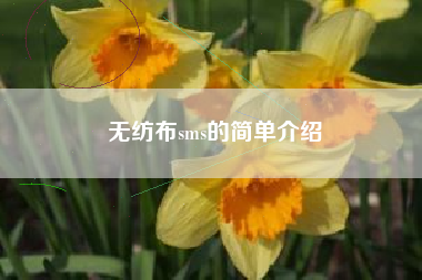 无纺布sms的简单介绍