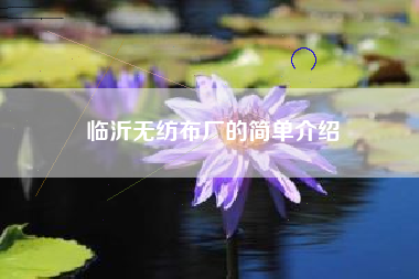 临沂无纺布厂的简单介绍