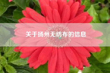 关于扬州无纺布的信息