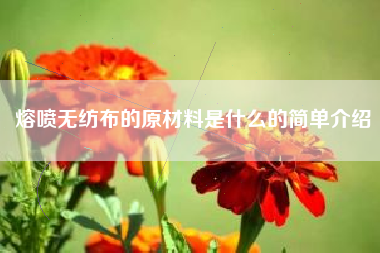 熔喷无纺布的原材料是什么的简单介绍