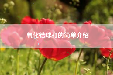氧化锆球和的简单介绍