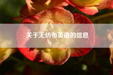 关于无纺布英语的信息