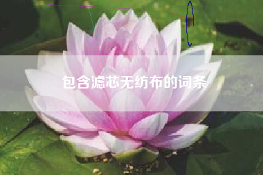 包含滤芯无纺布的词条