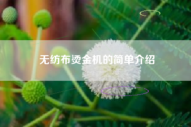 无纺布烫金机的简单介绍
