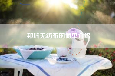 邦瑞无纺布的简单介绍