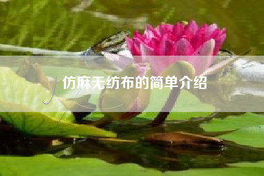 仿麻无纺布的简单介绍