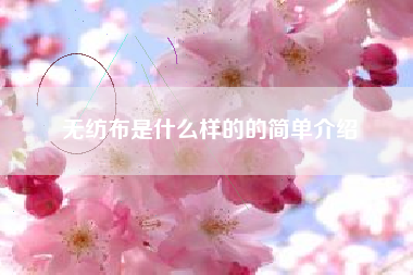 无纺布是什么样的的简单介绍