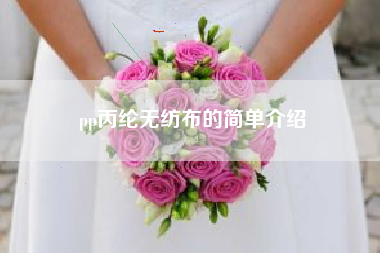 pp丙纶无纺布的简单介绍