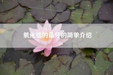 氧化锆的备牙的简单介绍
