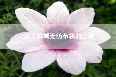关于桐城无纺布袋的信息