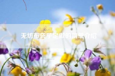 无纺布袋子定做的简单介绍