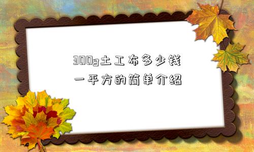 300g土工布多少钱一平方的简单介绍 300g土工布多少钱一平方的简单介绍