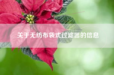 关于无纺布袋式过滤器的信息