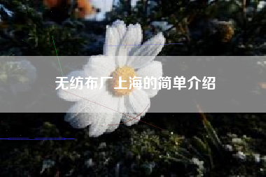 无纺布厂上海的简单介绍