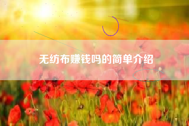 无纺布赚钱吗的简单介绍